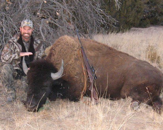 A man is standing next to a large bison, LaMont Buffalo Hunting.