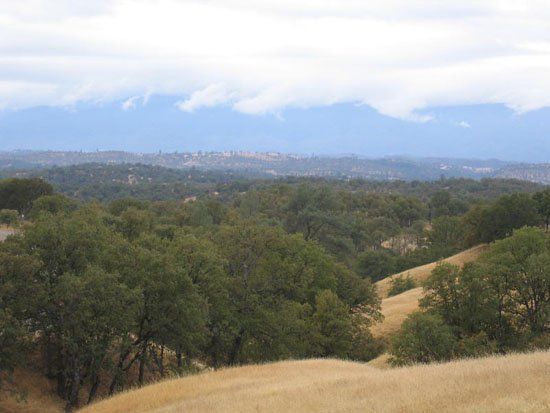 A field with trees and mountains in the background