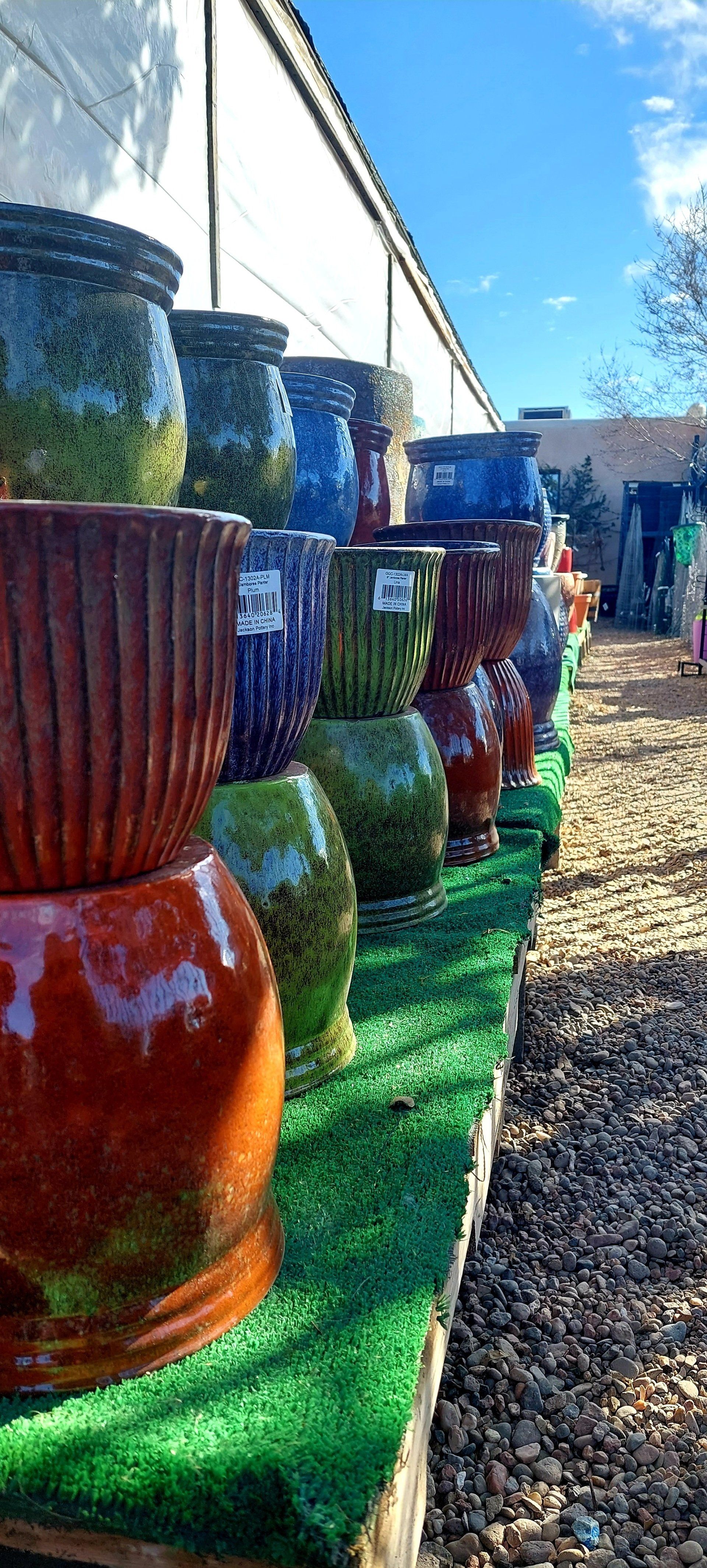 Blooms Albuquerque,NM Rehm's Nursery and Garden Center