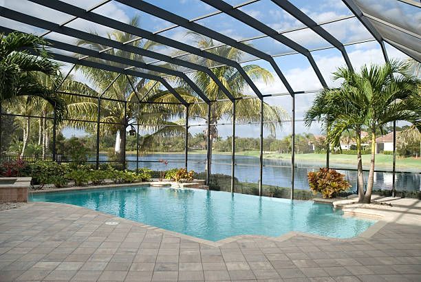 A swimming pool surrounded by a patio and palm trees, enclosed in a screened lanai overlooking a lake.