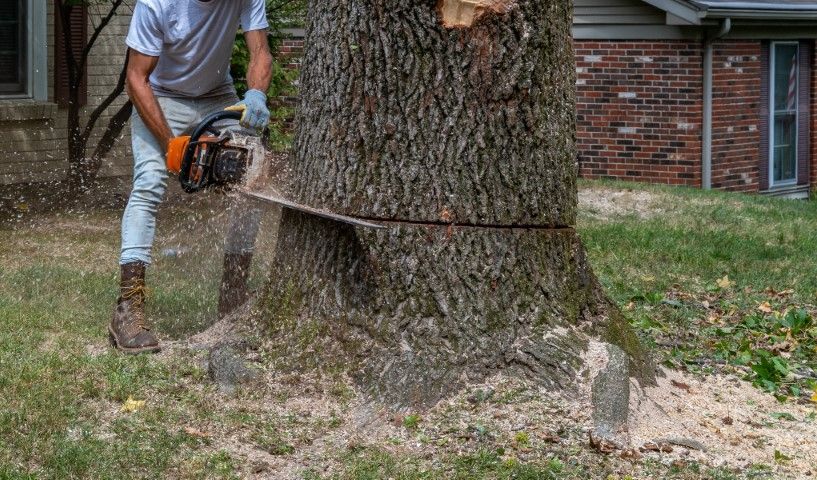 Person cutting a tree trunk with a chainsaw in a yard, sawdust flying.