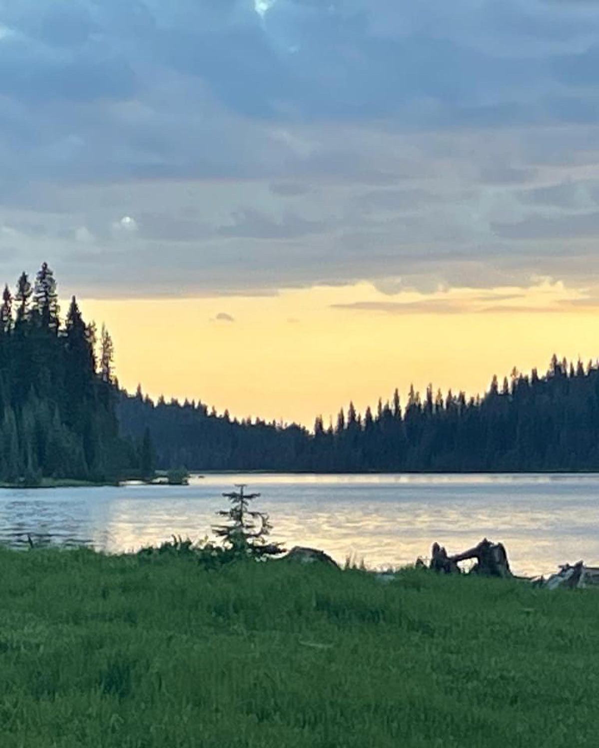 Fly Fish McCall Gallery Image