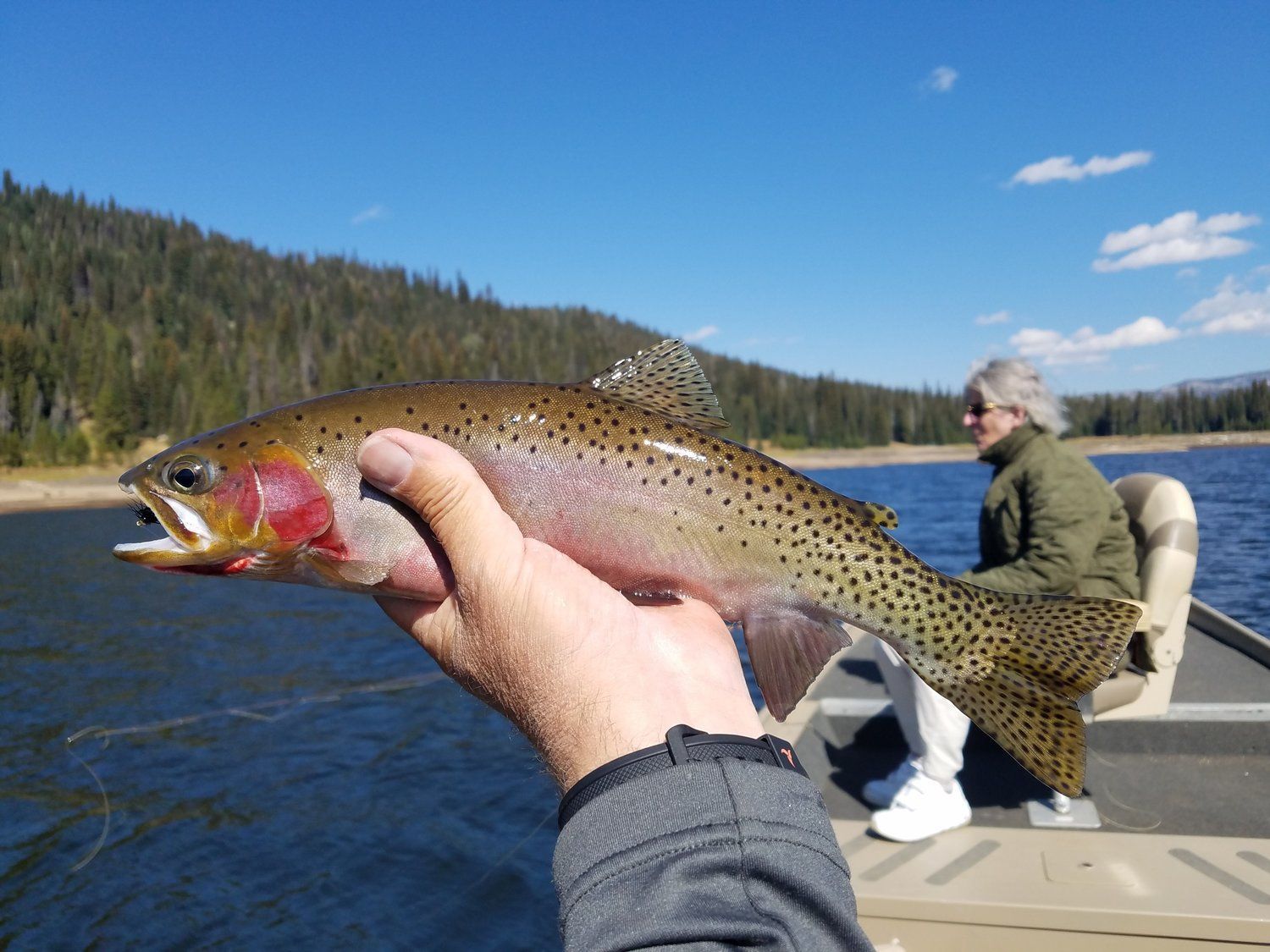 Fly Fish McCall Gallery Image