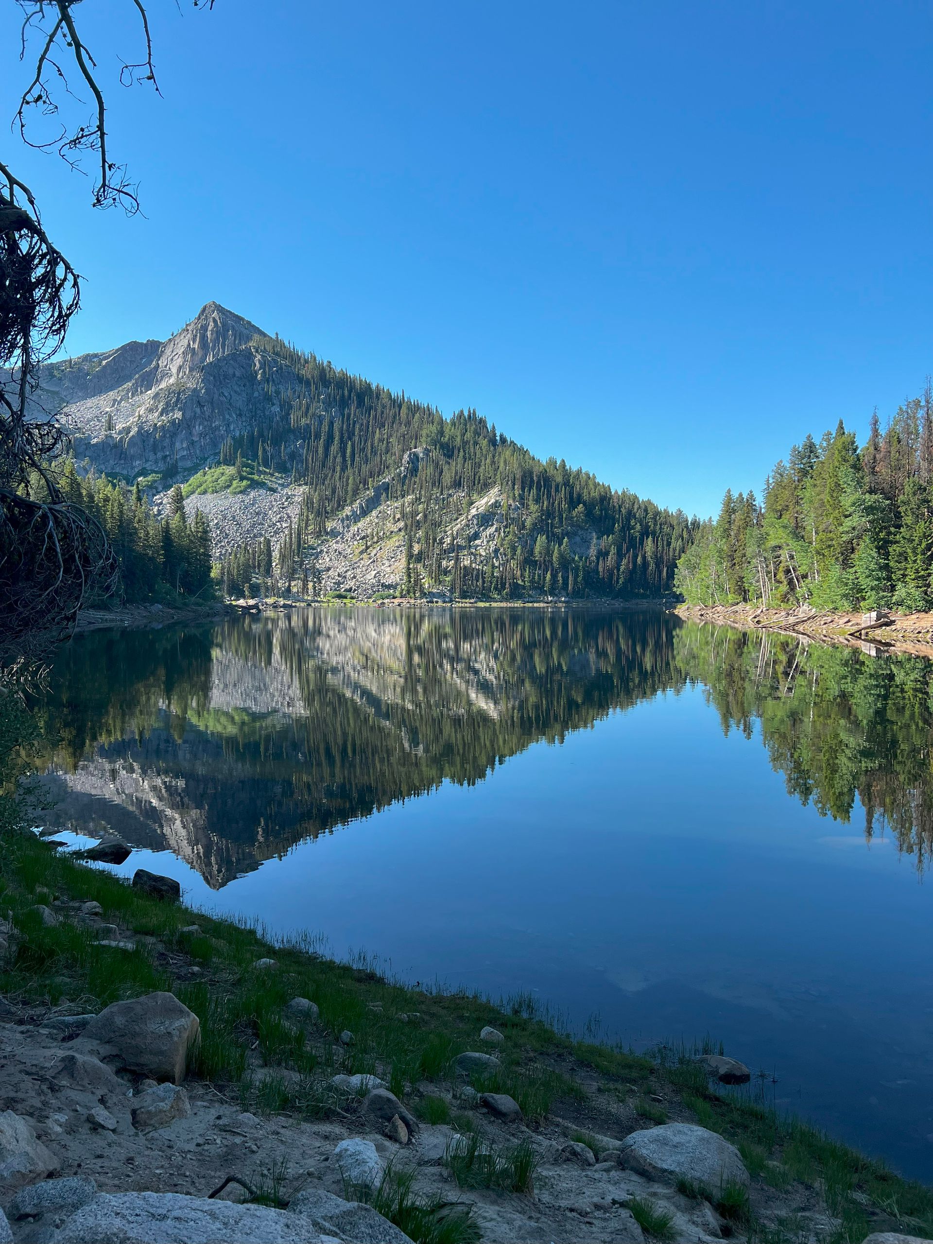 Fly Fish McCall Gallery Image