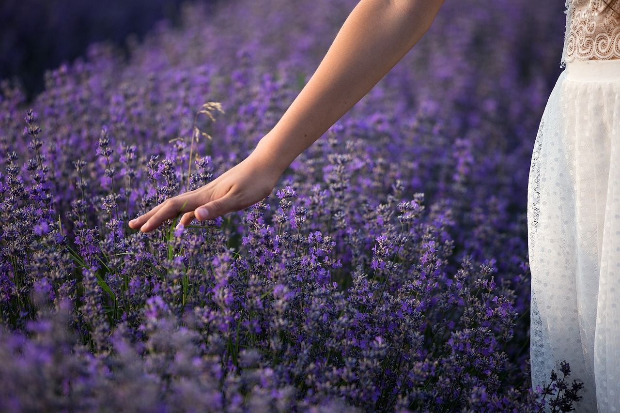 a woman in a white dress is touching lavendar in a field .