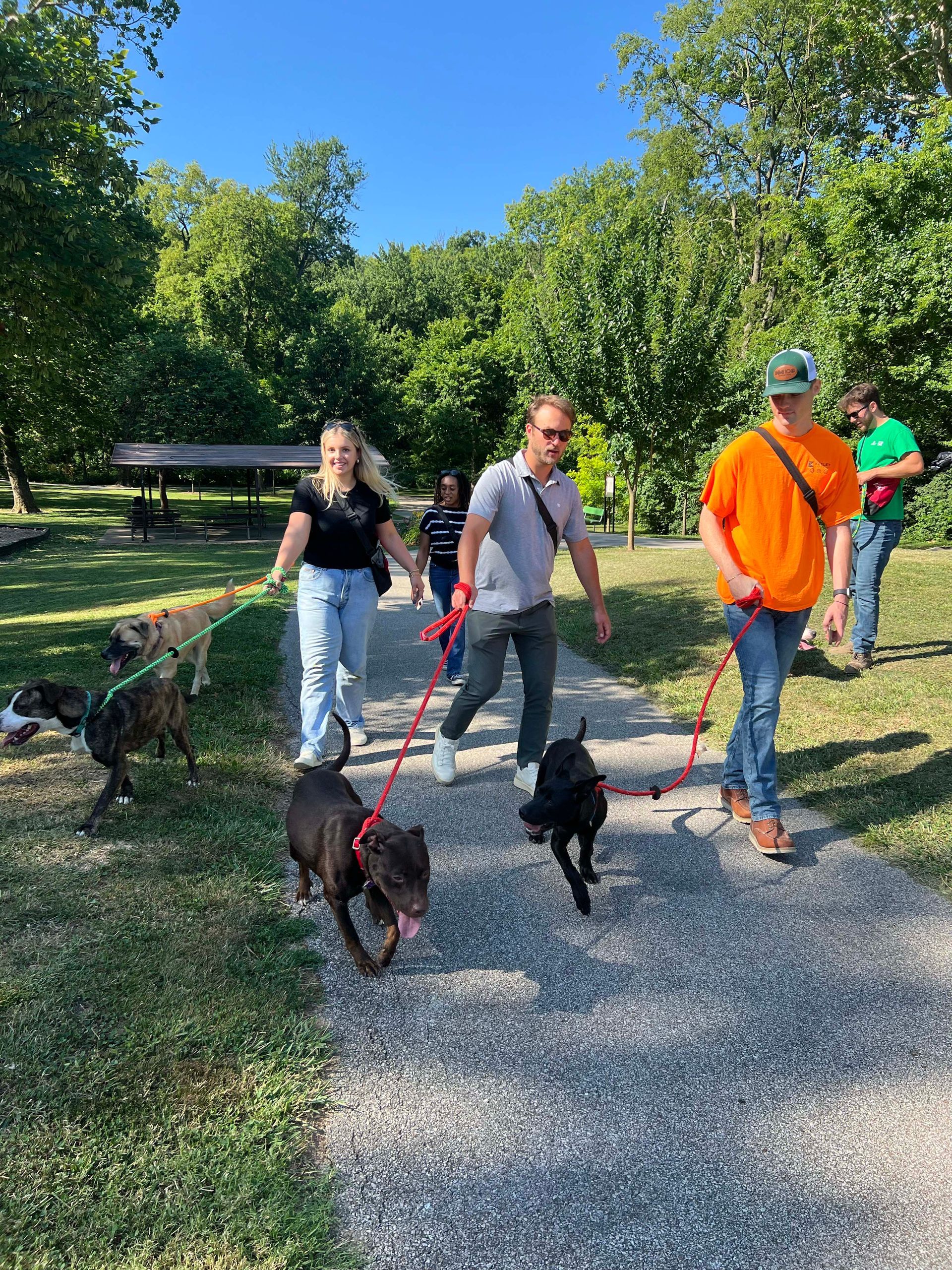 A group of people are walking their dogs in a park.