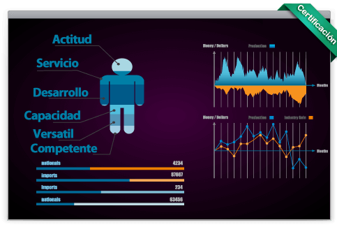 TALLERES ESPECIALIZADOS DEL NORTE S.A. DE C.V - CERTIFICACIÓN
