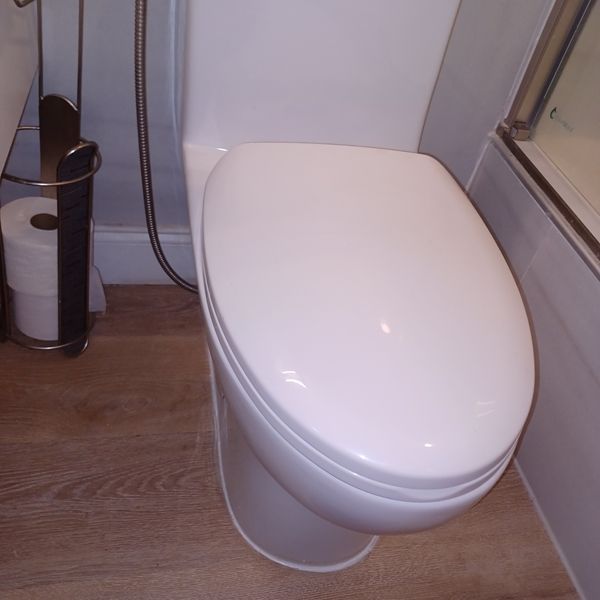 A toilet in a bathroom next to a roll of toilet paper