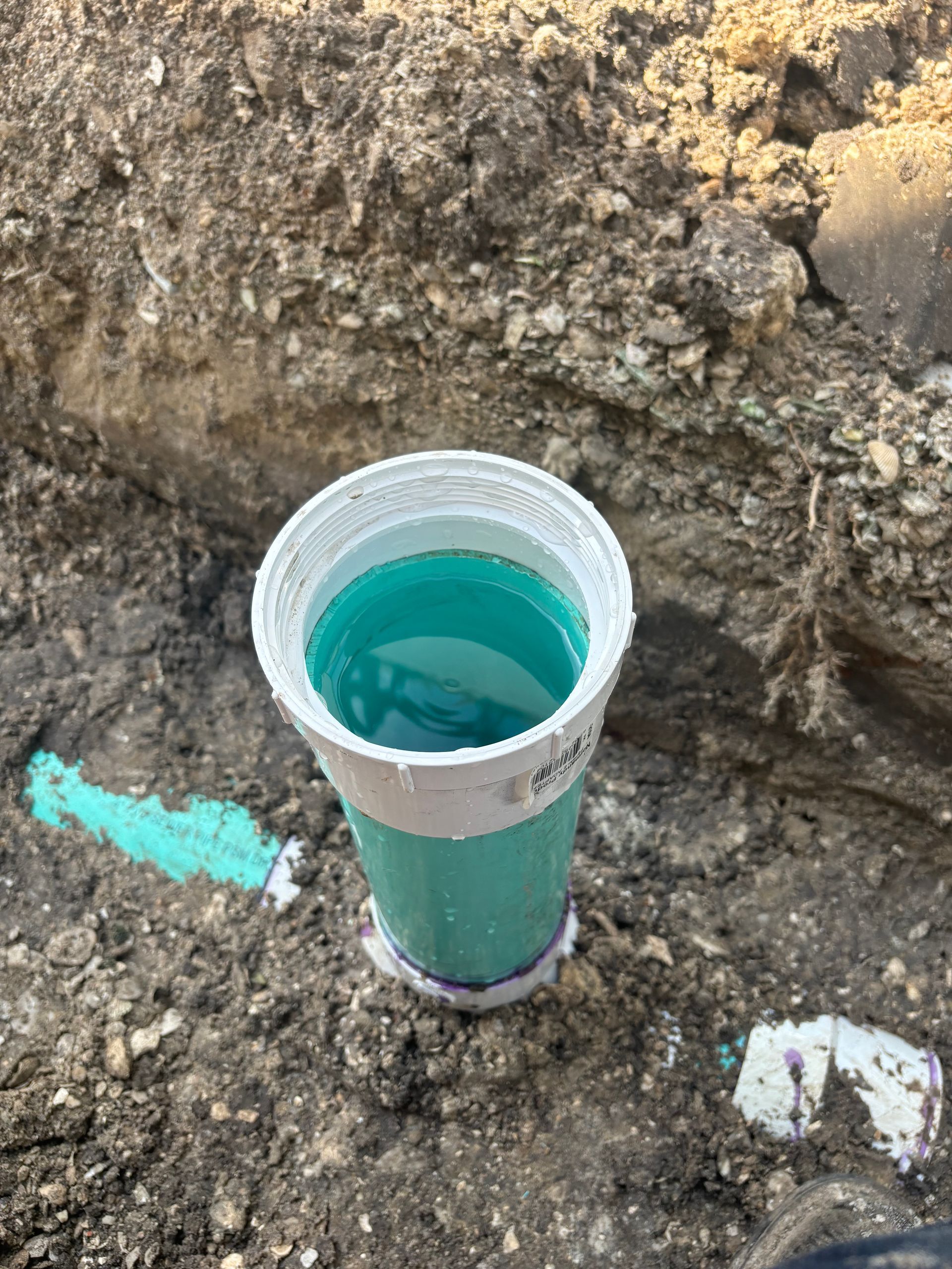 A plastic cup filled with blue liquid is sitting in the dirt.