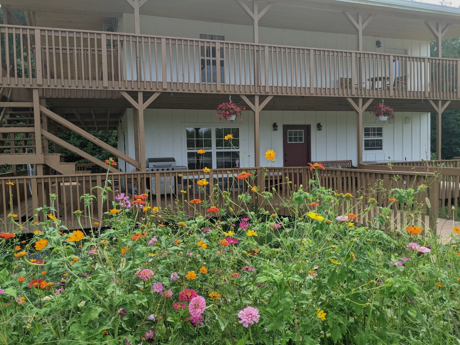 A field of colorful wildflowers in the foreground in front of a two-story white building with a wooden wrap-around deck.
