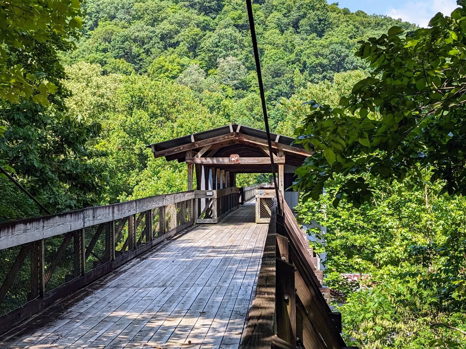 A wooden pedestrian bridge with a roof spans a lush, green forest ravine under a bright, sunny sky.