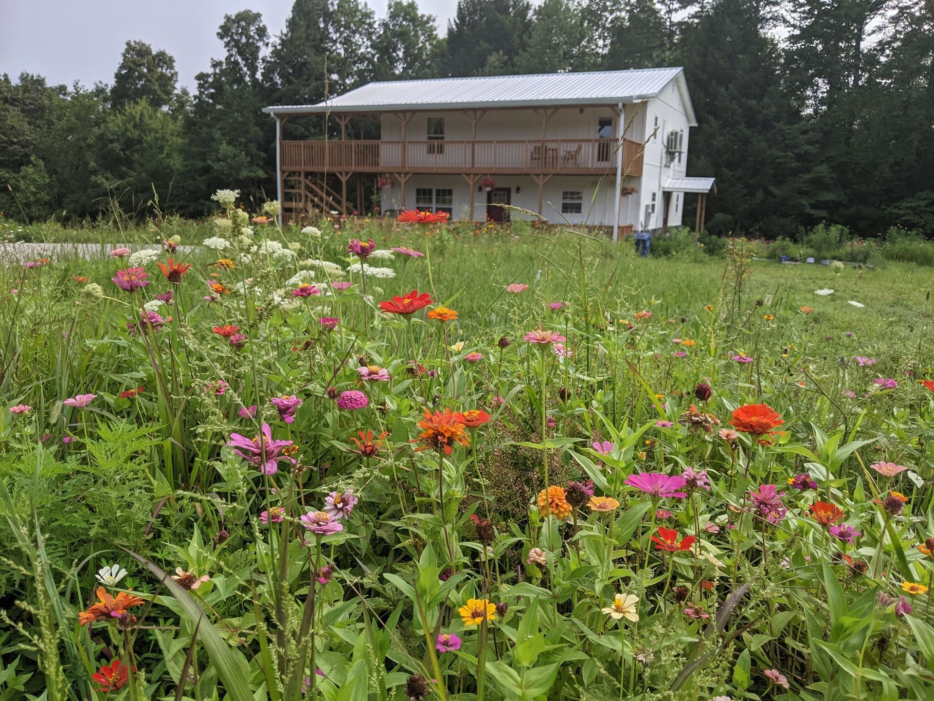 A field of colorful wildflowers in the foreground with a two-story white house and forest in the background.