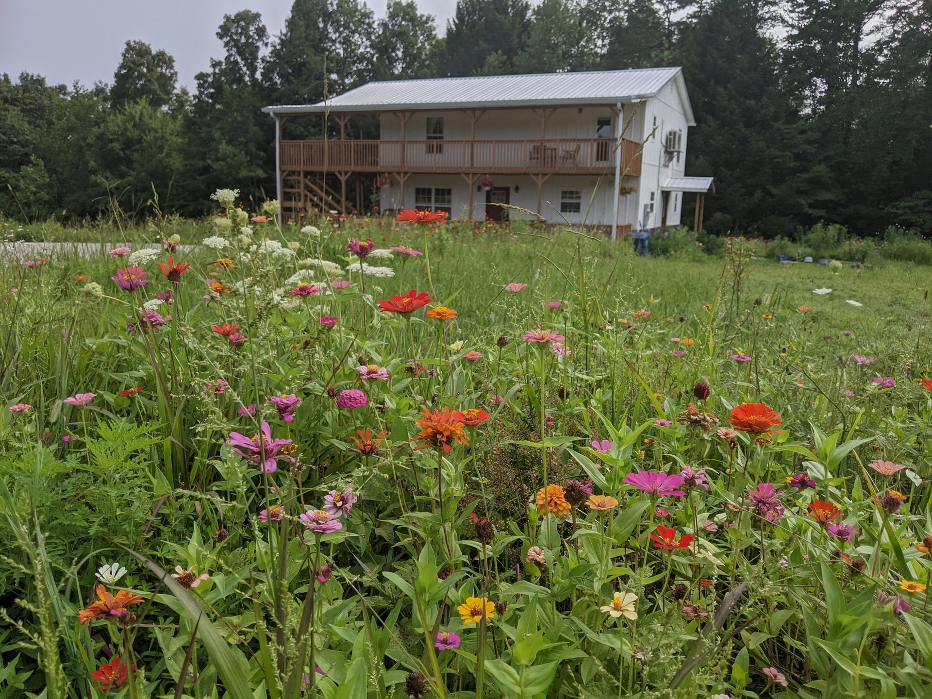 A two-story white house with a wooden porch stands behind a lush field of colorful blooming wildflowers.