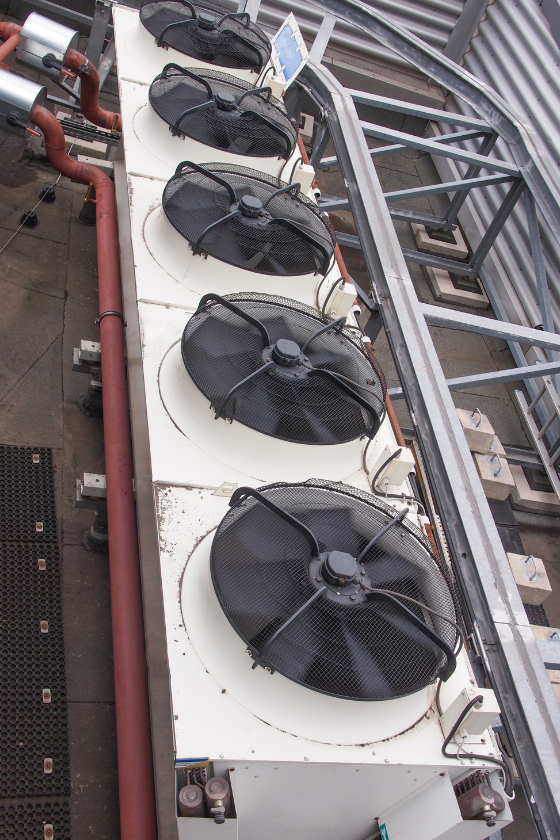 A bunch of fans are lined up on top of a building