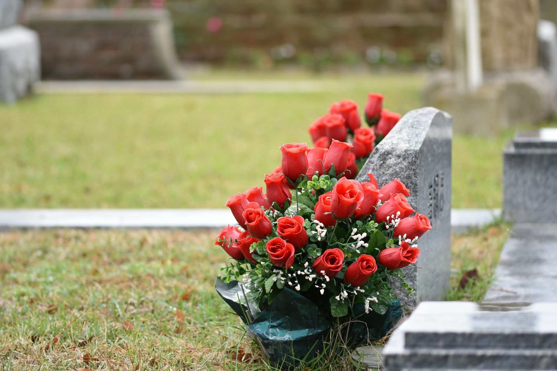 Red roses in a bouquet beside a gray gravestone in a cemetery