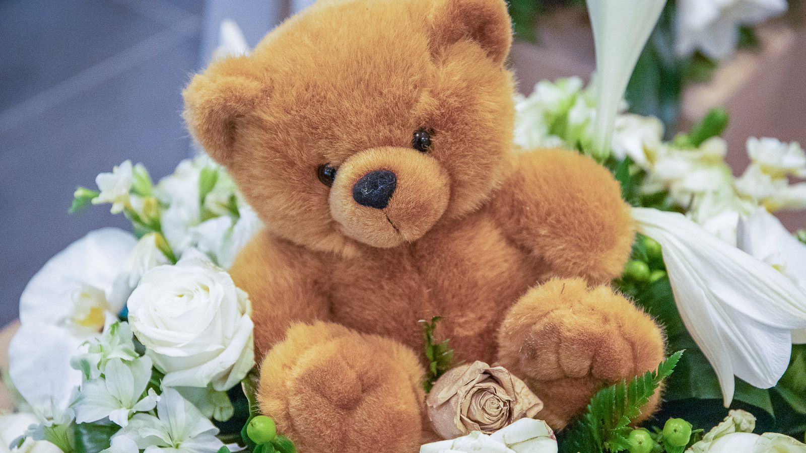 Teddybeer op een rouwstuk