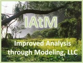 IAtM, LLC logo