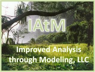 Improved Analysis through Modeling, LLC logo