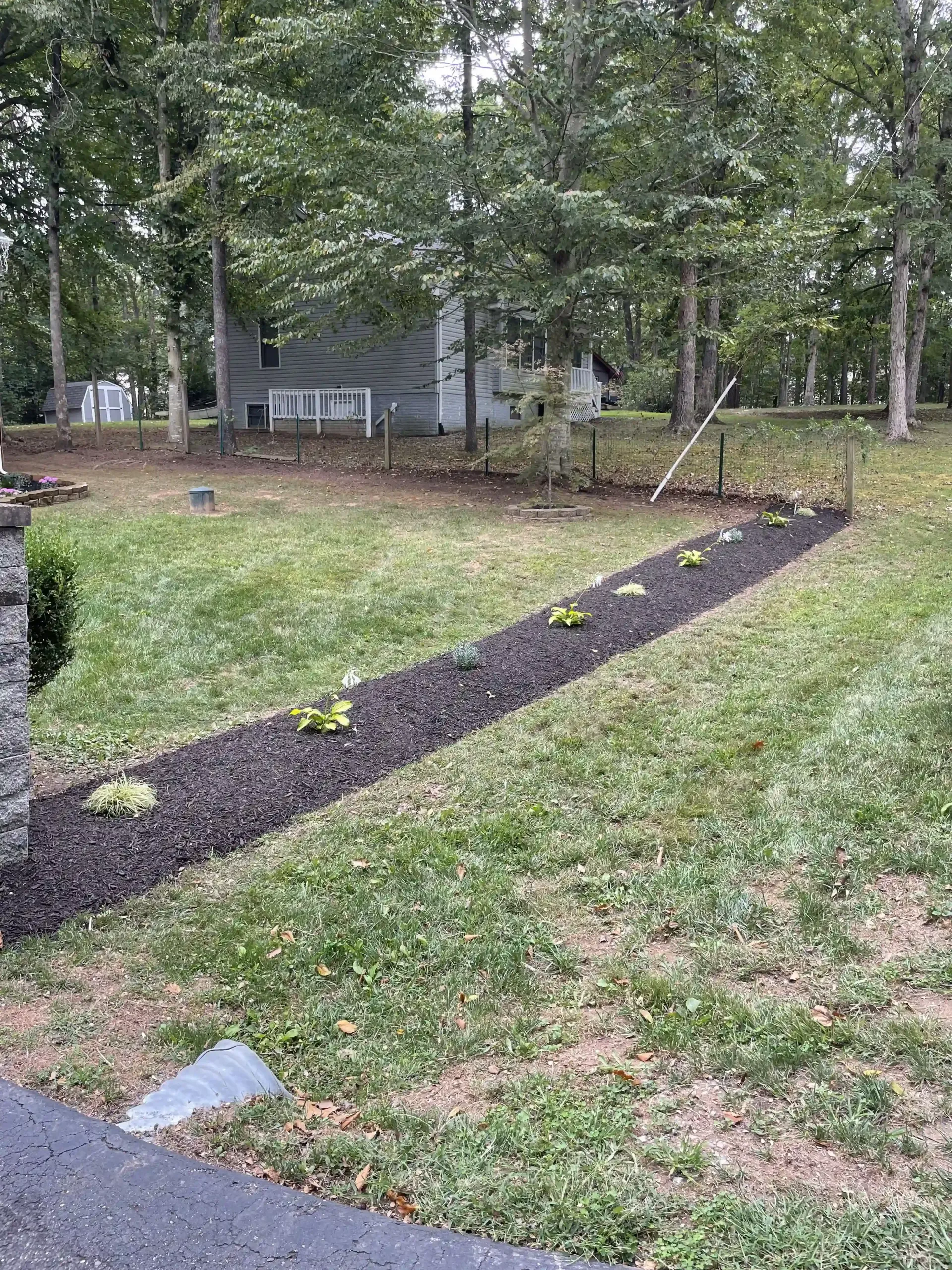 A lush green yard with a path leading to a house.