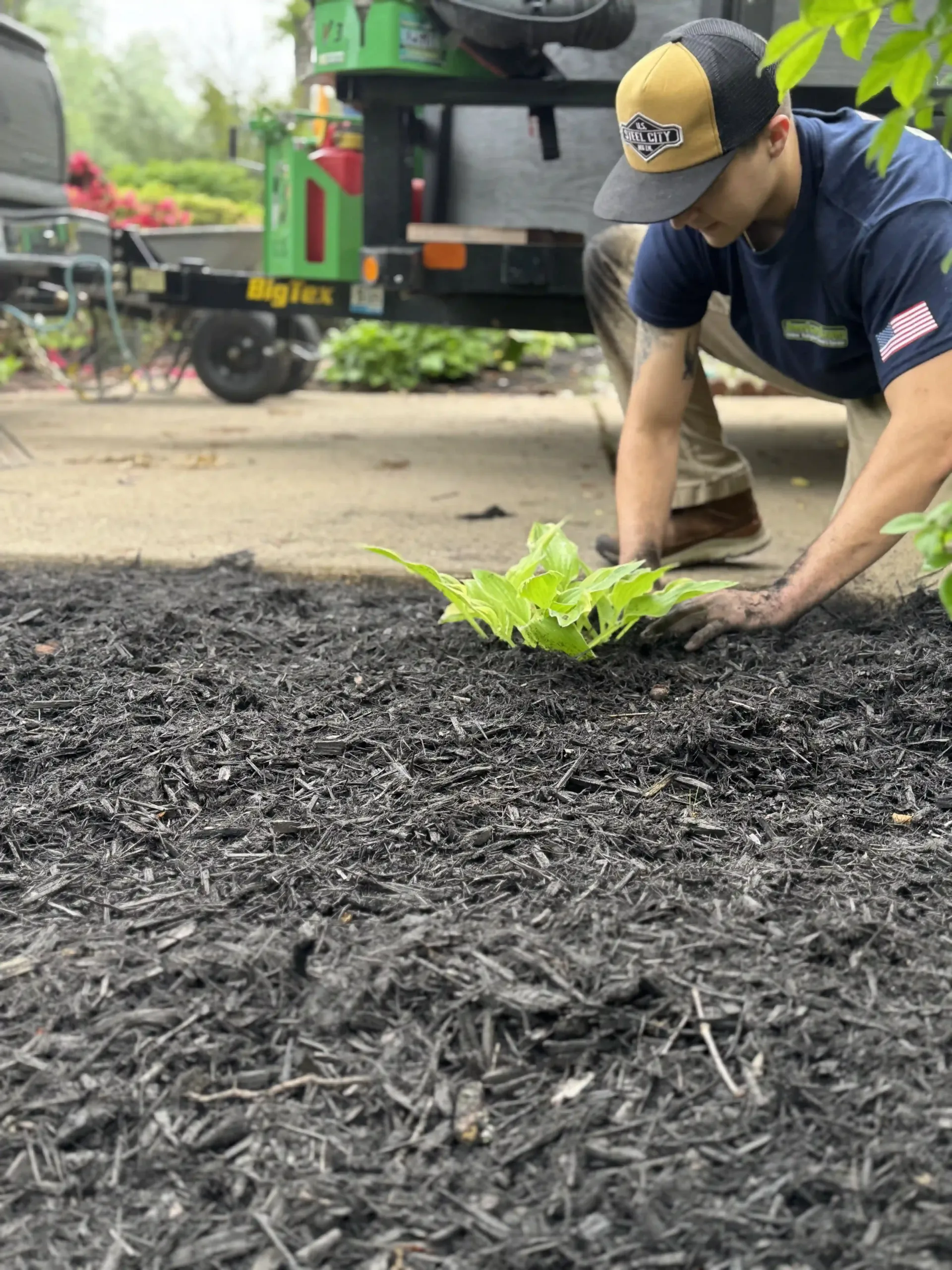 A man is planting a plant in the dirt.