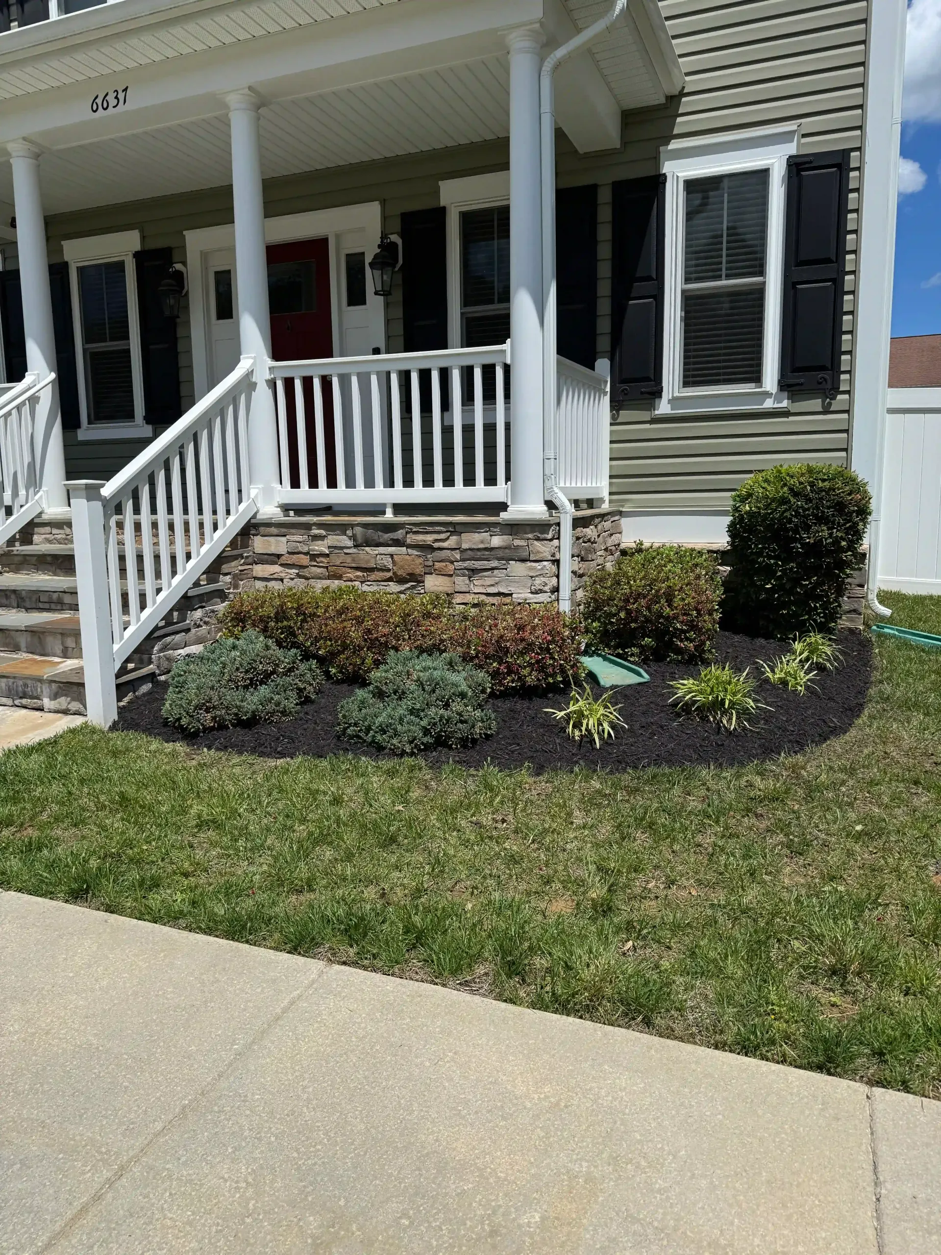 A garden filled with lots of different types of plants and flowers.