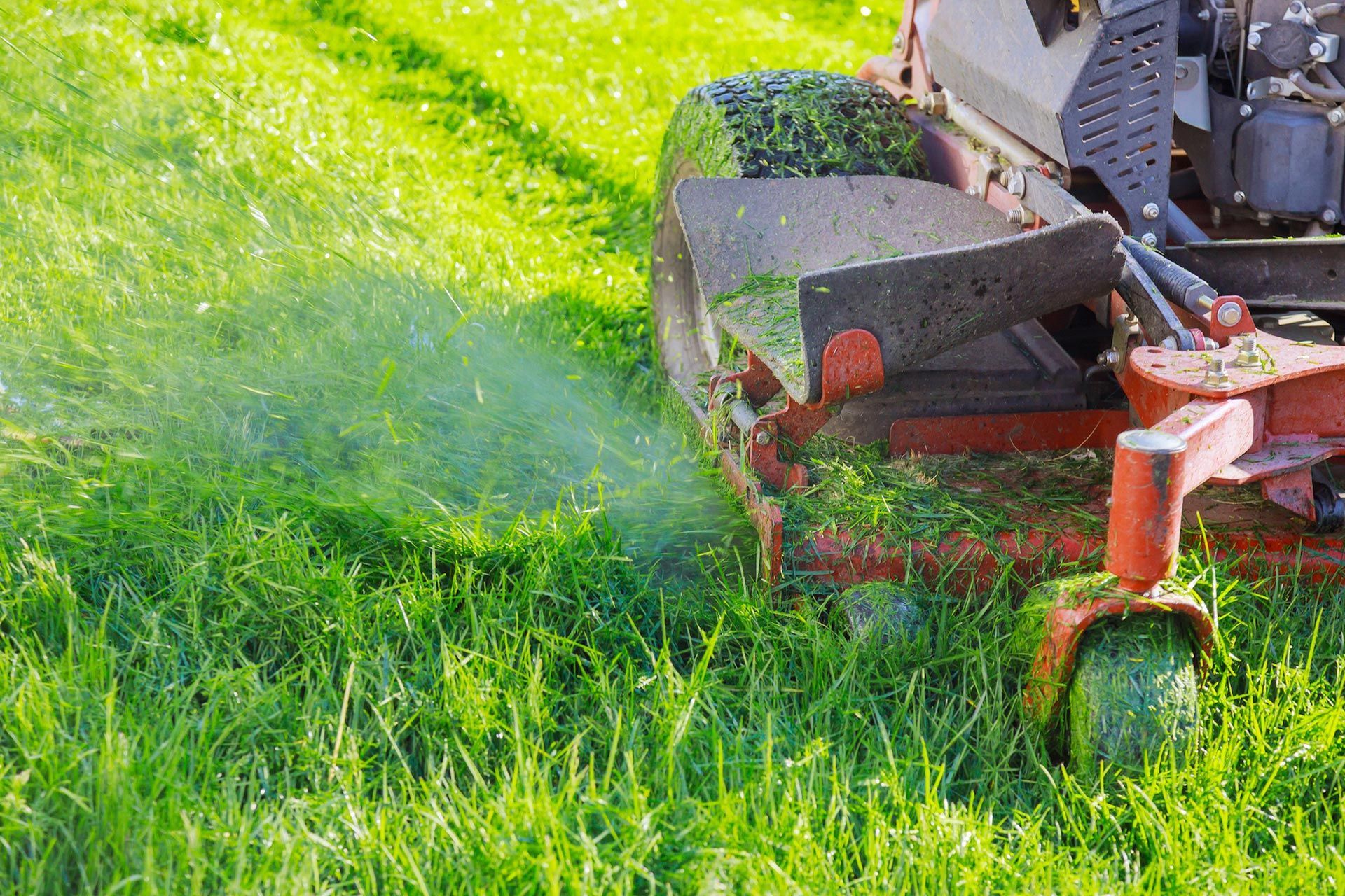 A person is mowing a lush green lawn with a lawn mower.