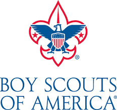 A logo for boy scouts of america with an eagle on a flower