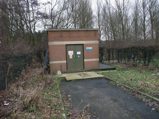 A brick building with a green door is in the middle of a forest.