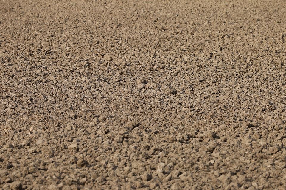 A close up of a pile of dirt in a field.