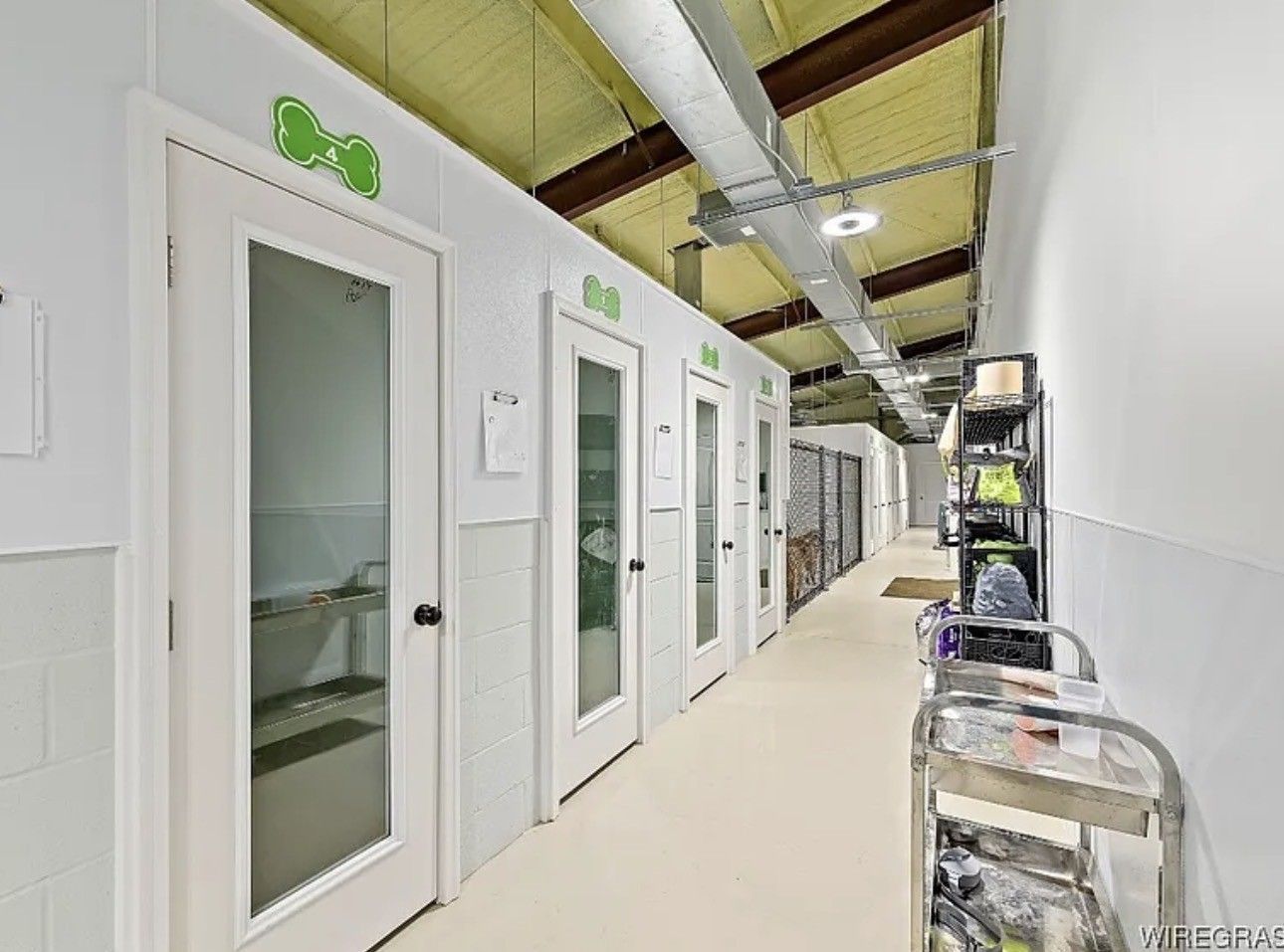 A man is walking three dogs in a field.