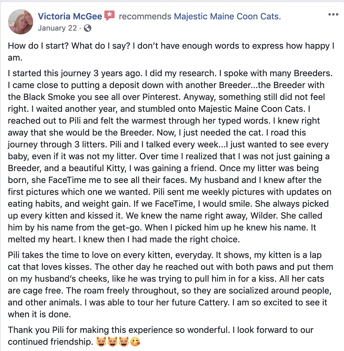 Majestic Maine Coon Cats