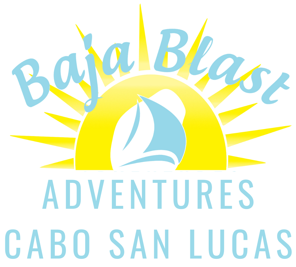 Baja Blast Logo - Light Blue