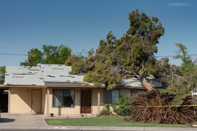 Property Insurance Claim Adjuster in Houston, TX