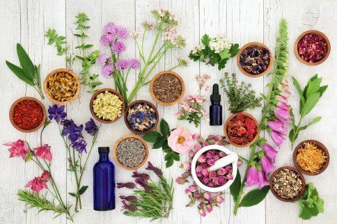 herbs and flowers essentials