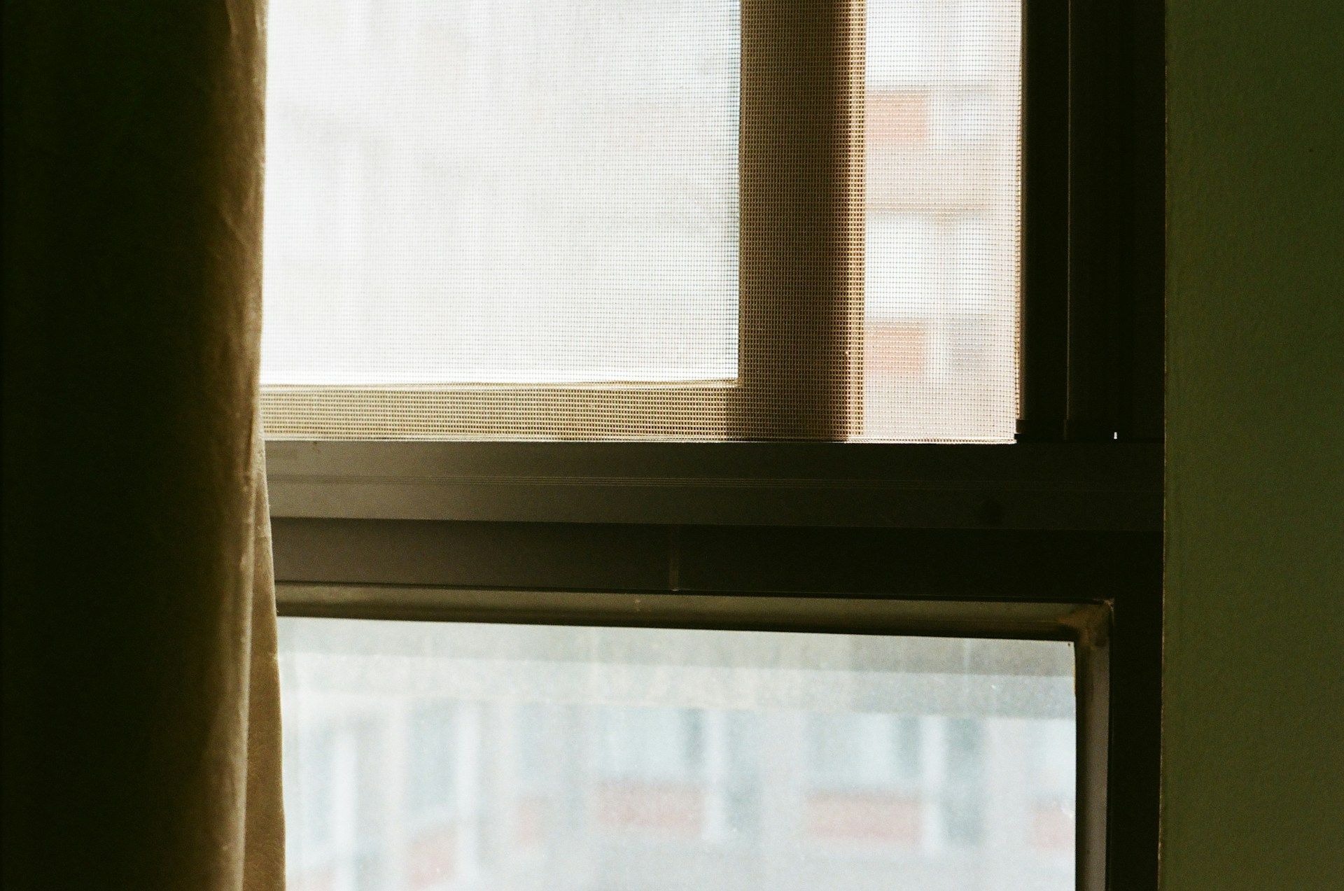 Window