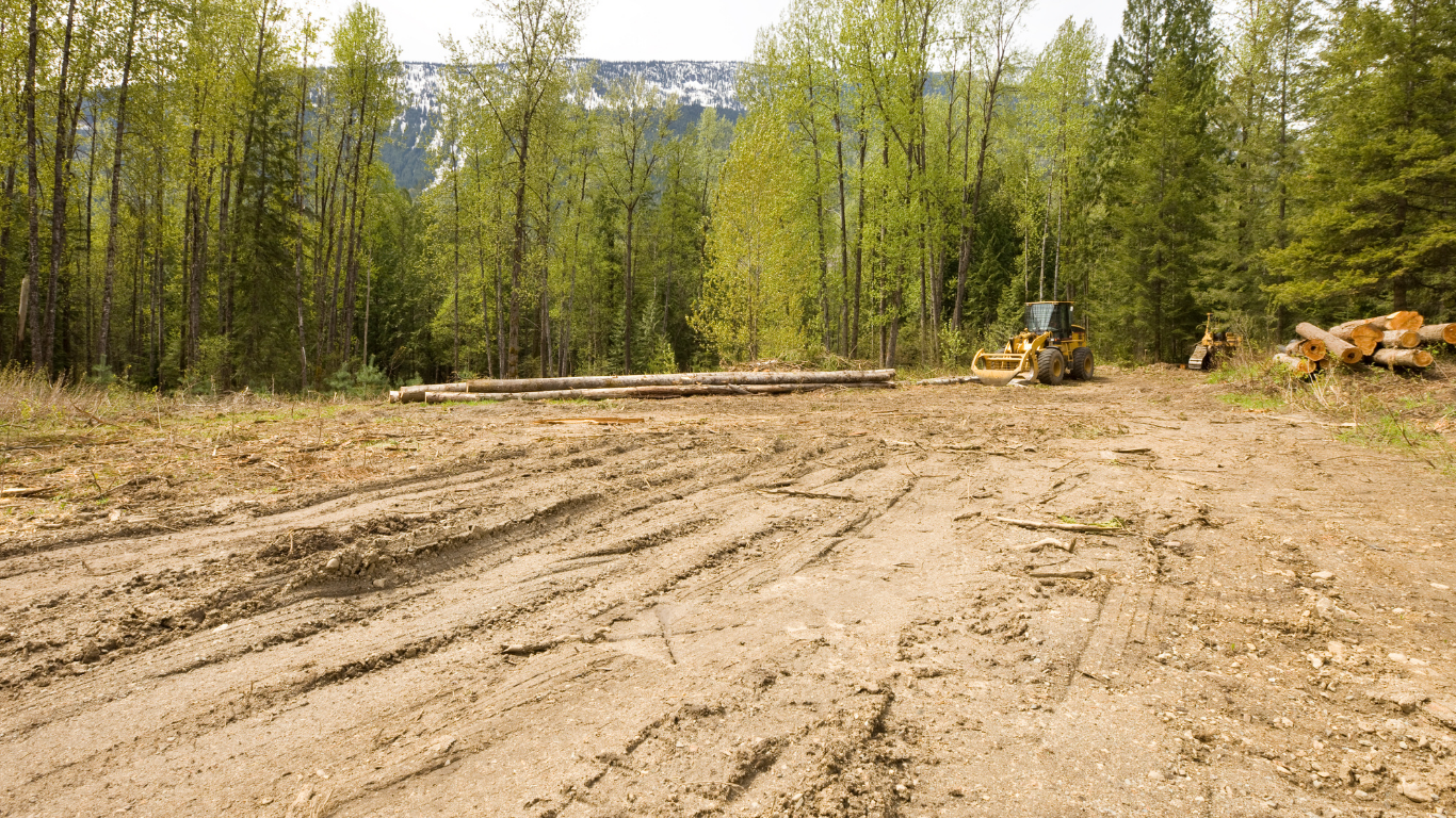 Safe Land Clearing in Staten Island – Expert Guide for Homeowners