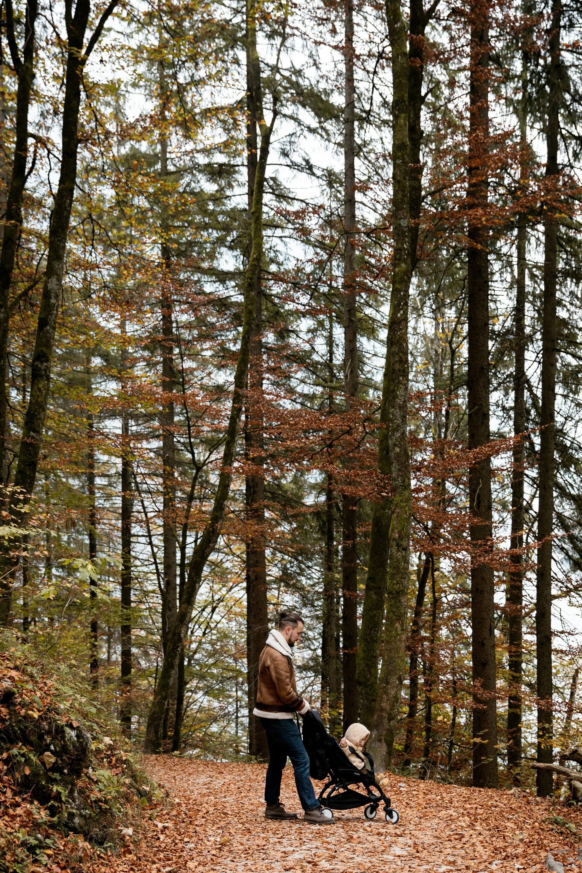 Person pushing a stroller through a forest in autumn.