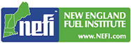 Nefi Logo