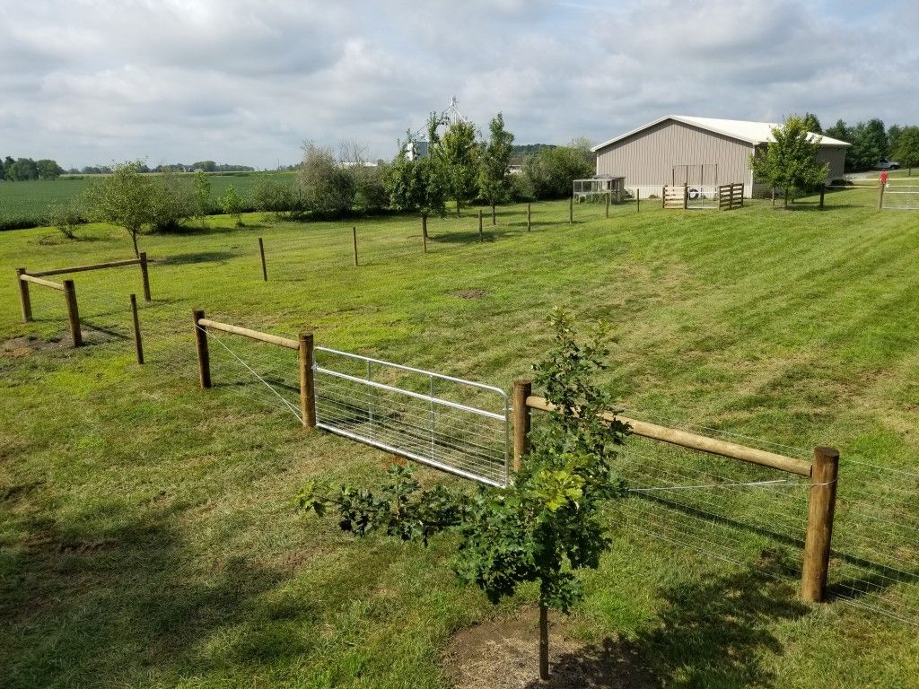 Fenced Yard With A Gate And A Tree - Columbus, IN - Indiana Agricultural Fencing