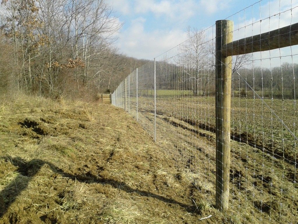 Tall Fence Dividing A Field - Columbus, IN - Indiana Agricultural Fencing