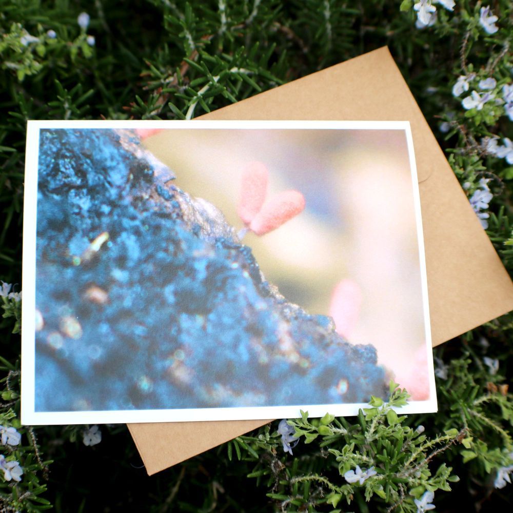 A card with a picture of flowers on it