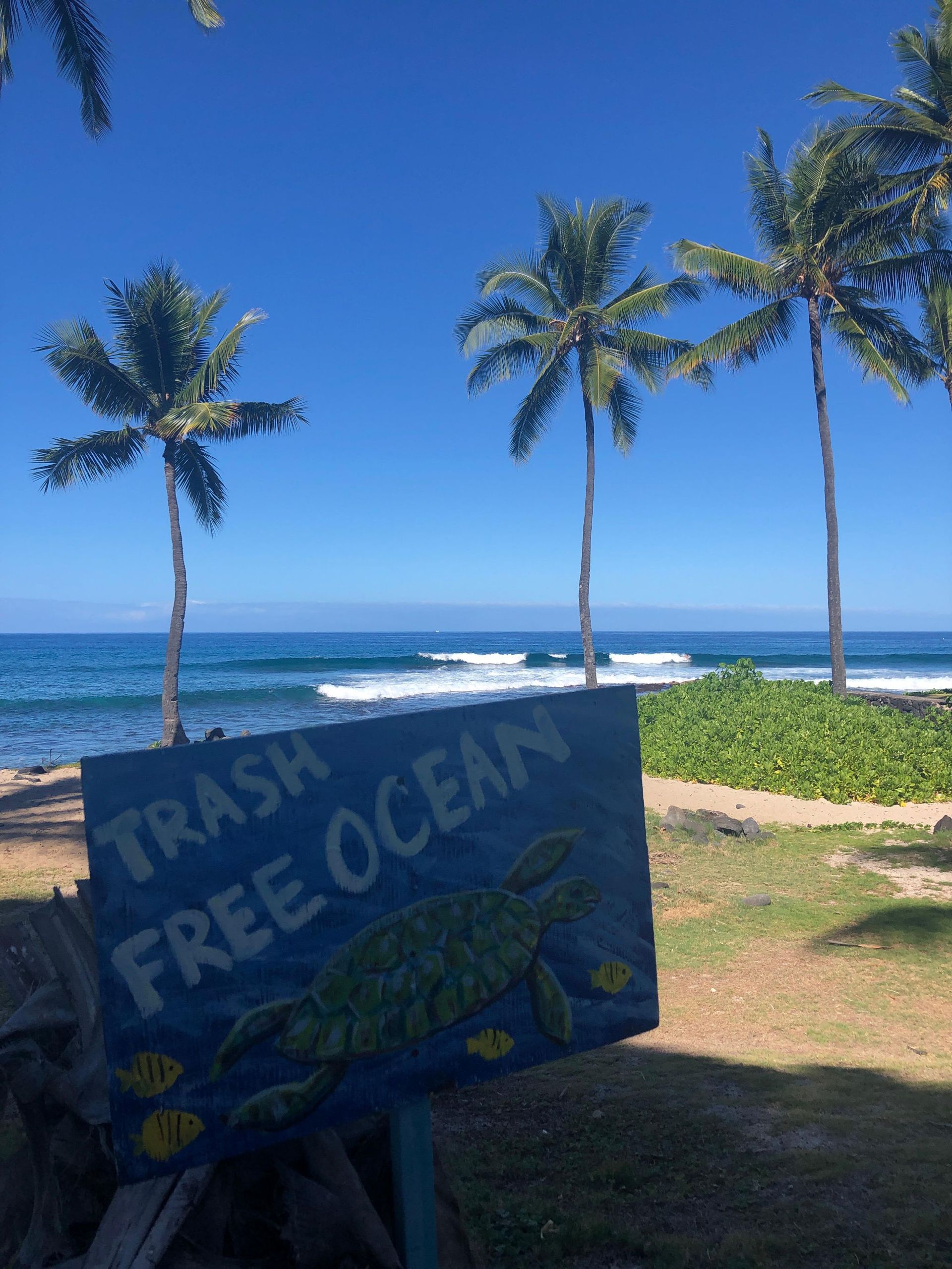 A sign on a beach that says trash free ocean