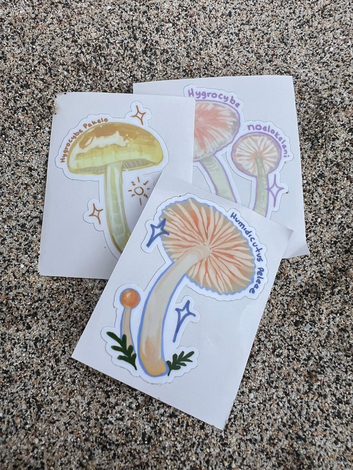 A book titled essays from the surf 2004 to 2007