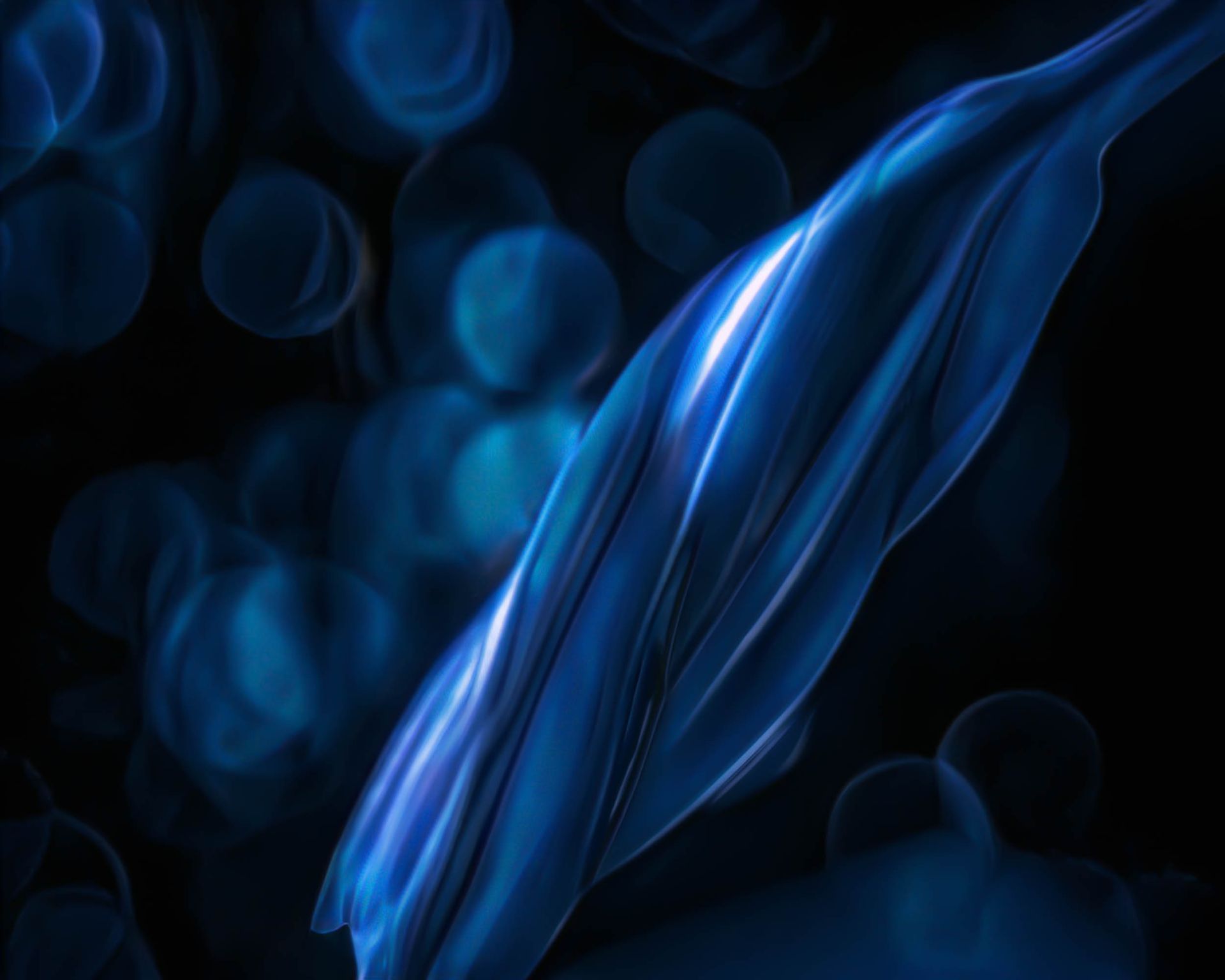 A close up of a blue feather on a black background.