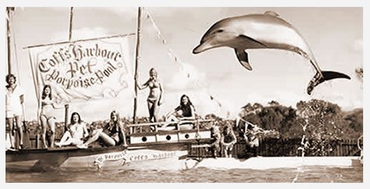 A dolphin is jumping in the air in a black and white photo.