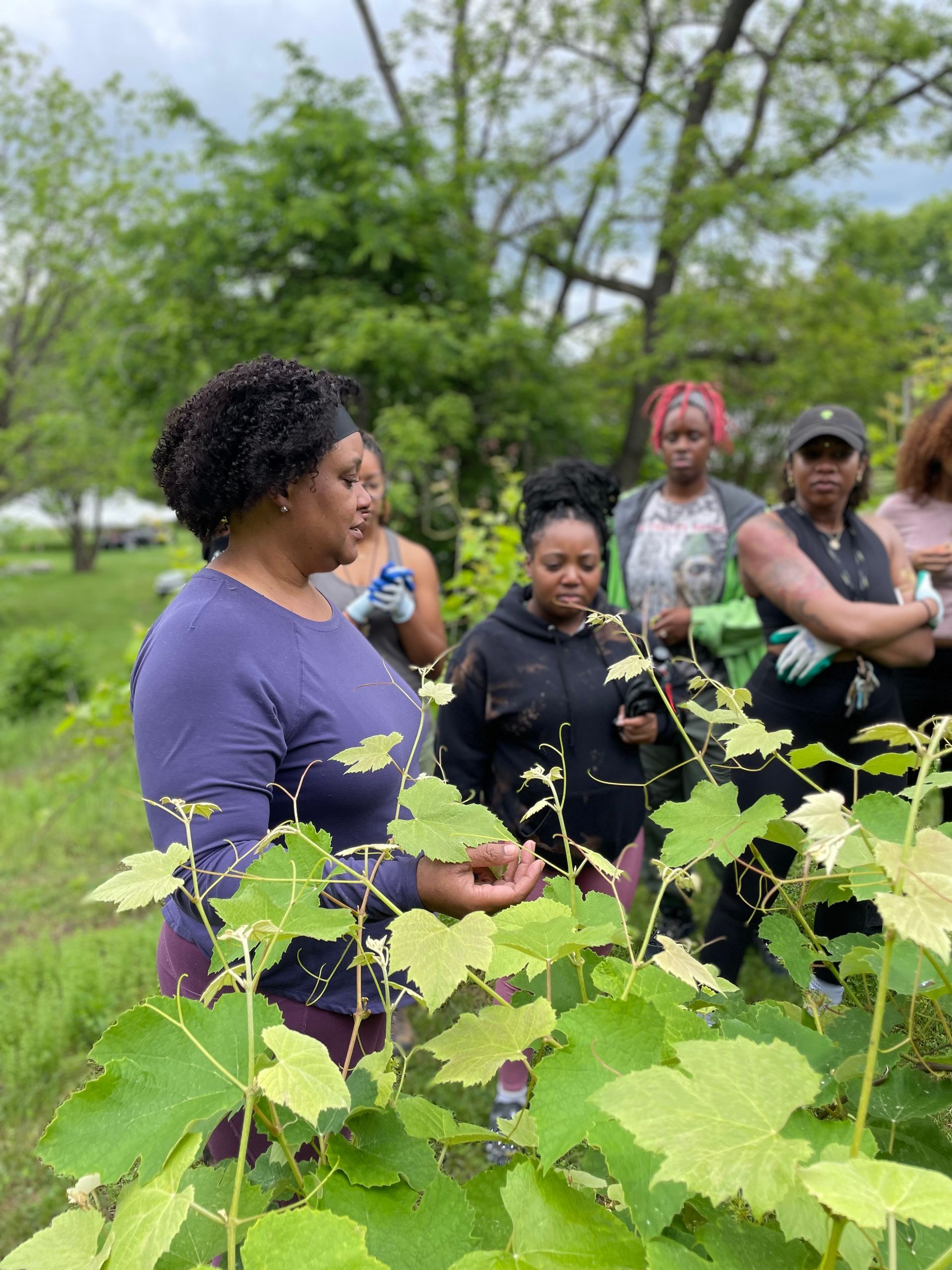 A group of women are standing around a plant in a field.