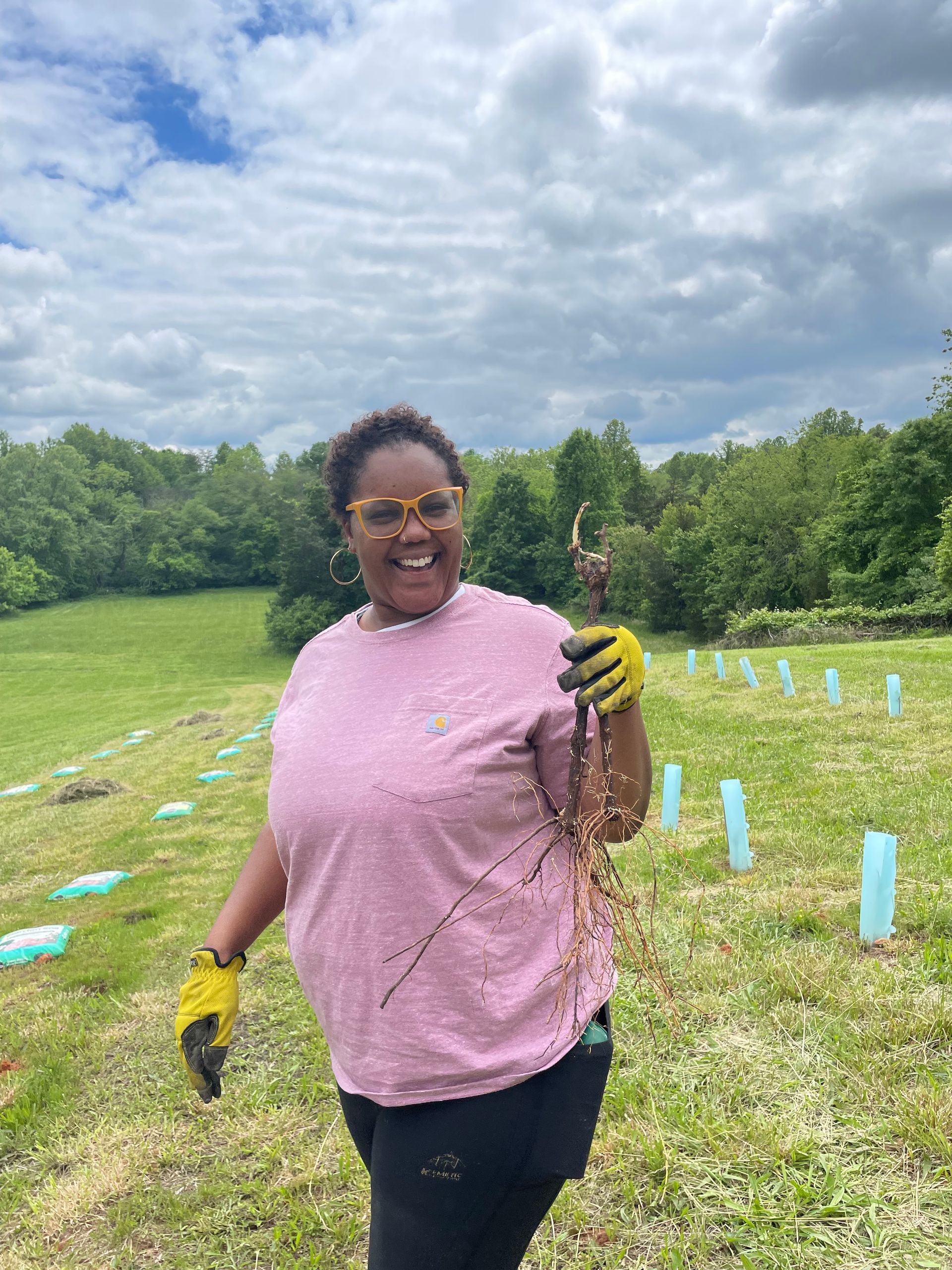 A woman in a pink shirt is holding a root in a field.