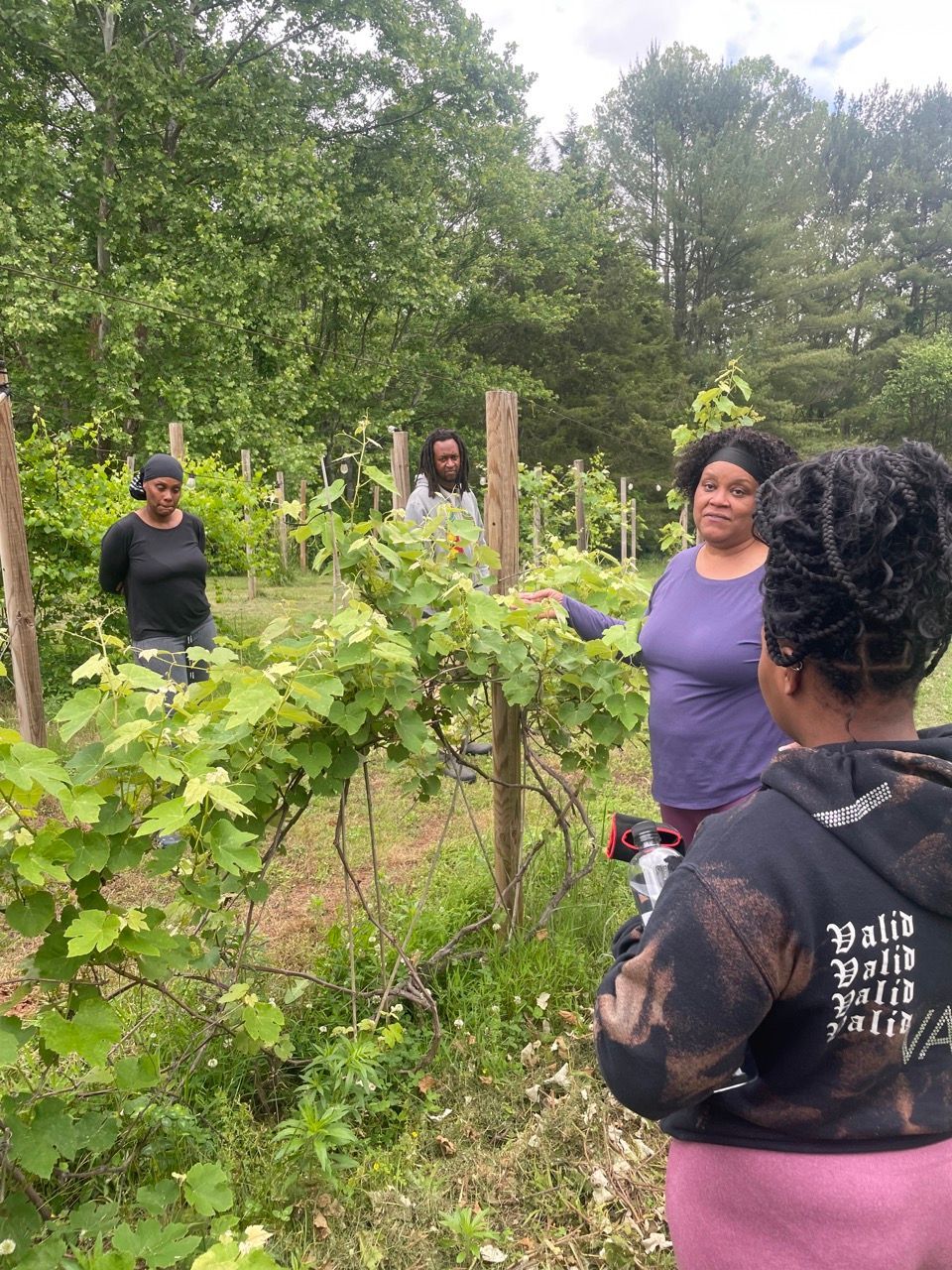 A group of women are standing in a vineyard talking to each other.