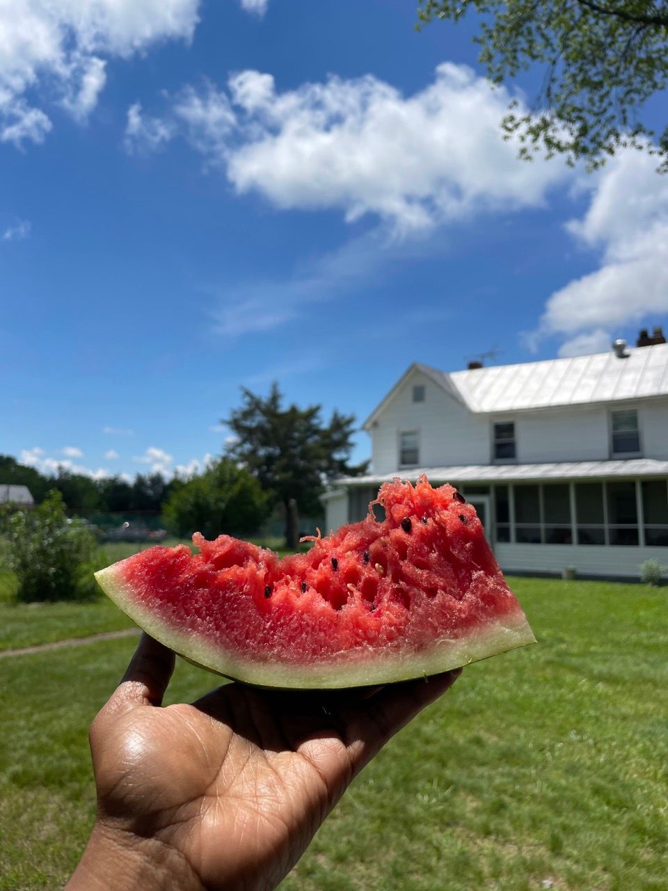 A person is holding a slice of watermelon in front of a white house