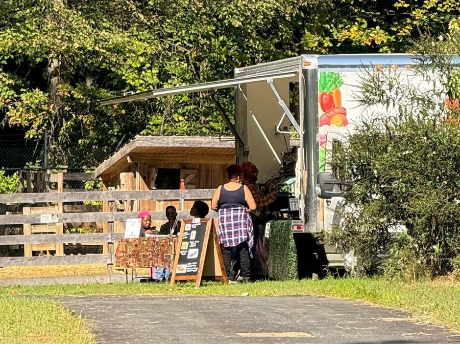 A woman is standing in front of a food truck.